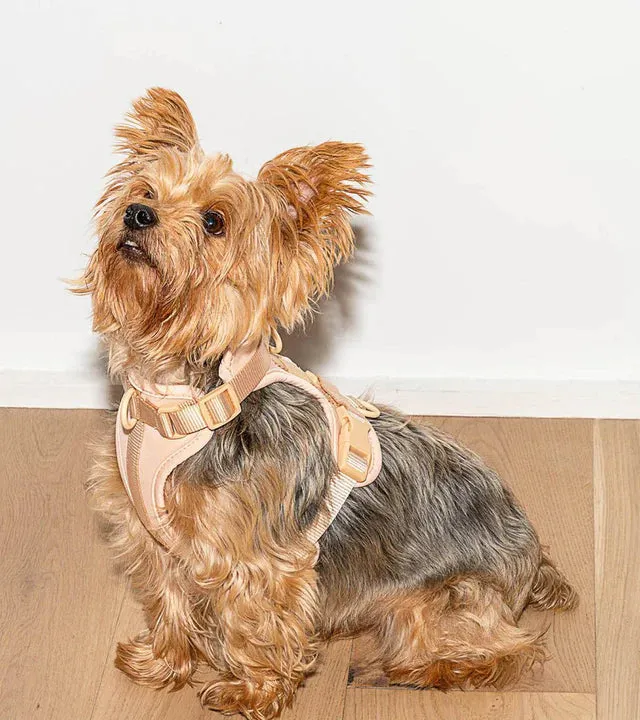 Comfort Pet Harness - SALE