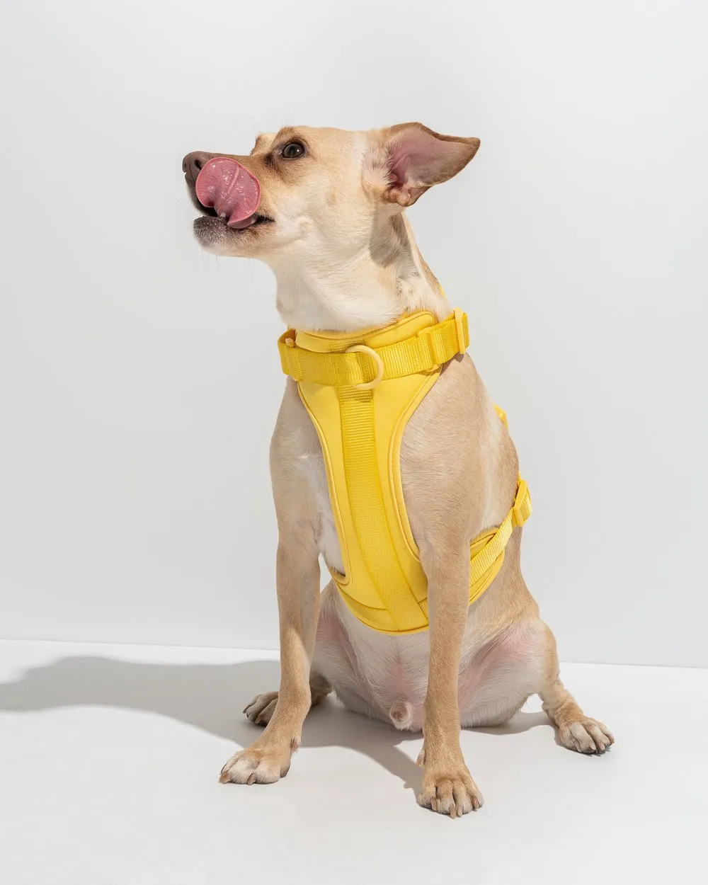 Comfort Pet Harness - SALE