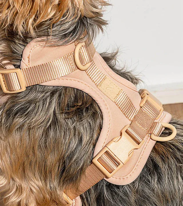 Comfort Pet Harness - SALE